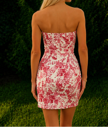 Rosé Garden Mini Dress