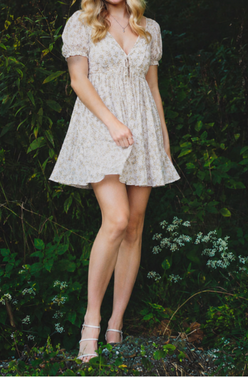 Meadow Whisper Floral Mini Dress
