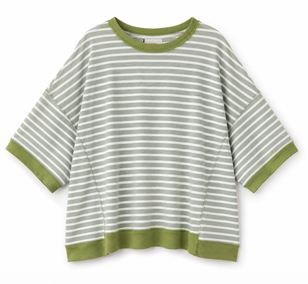 Sagebrush Stroll Oversized Tee